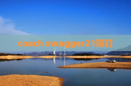 coach swagger21铆钉